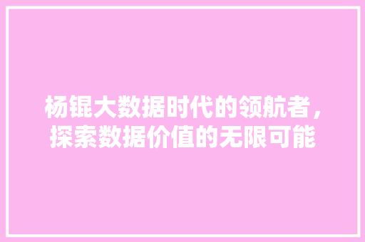 杨锟大数据时代的领航者，探索数据价值的无限可能