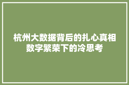 杭州大数据背后的扎心真相数字繁荣下的冷思考