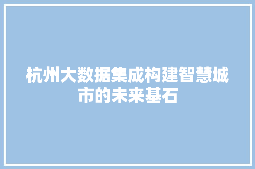 杭州大数据集成构建智慧城市的未来基石