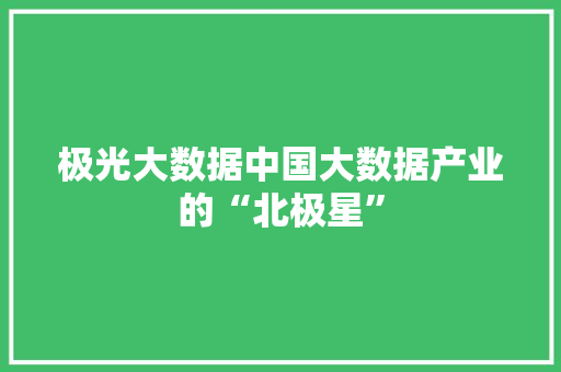 极光大数据中国大数据产业的“北极星”