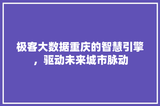 极客大数据重庆的智慧引擎，驱动未来城市脉动