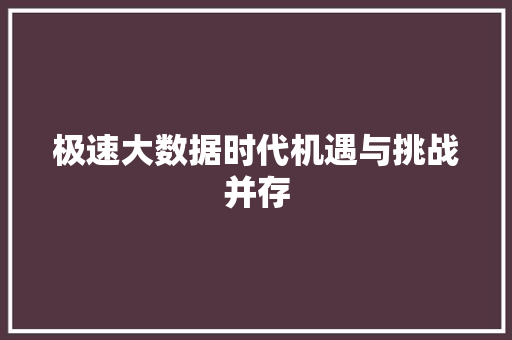 极速大数据时代机遇与挑战并存