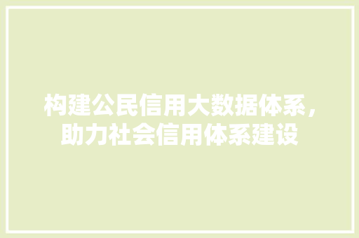 构建公民信用大数据体系，助力社会信用体系建设