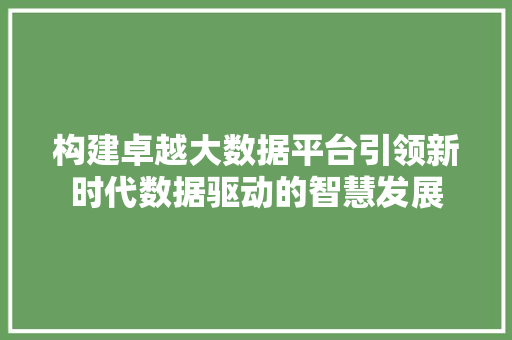 构建卓越大数据平台引领新时代数据驱动的智慧发展
