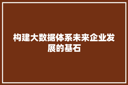 构建大数据体系未来企业发展的基石