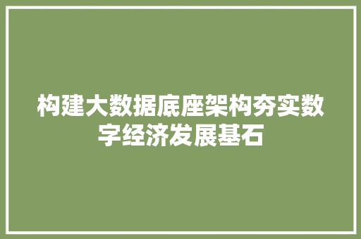 构建大数据底座架构夯实数字经济发展基石