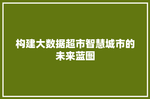构建大数据超市智慧城市的未来蓝图