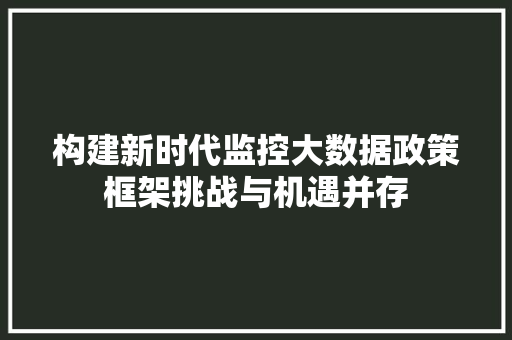 构建新时代监控大数据政策框架挑战与机遇并存