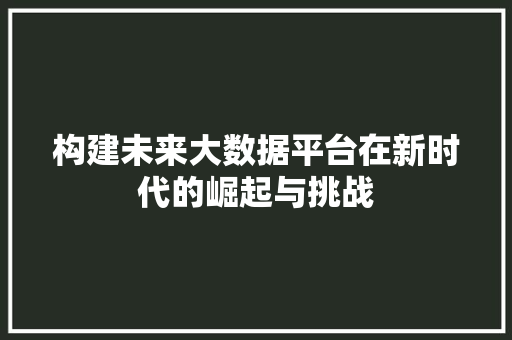 构建未来大数据平台在新时代的崛起与挑战