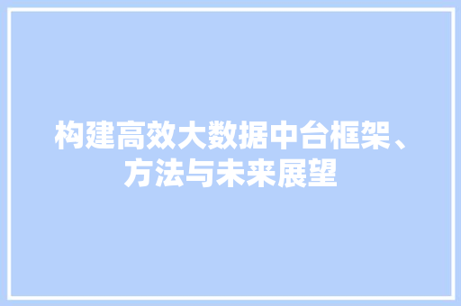 构建高效大数据中台框架、方法与未来展望