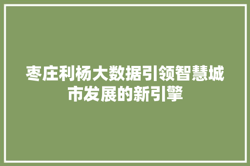 枣庄利杨大数据引领智慧城市发展的新引擎