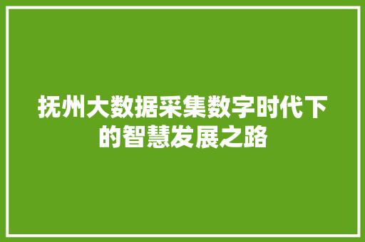 抚州大数据采集数字时代下的智慧发展之路