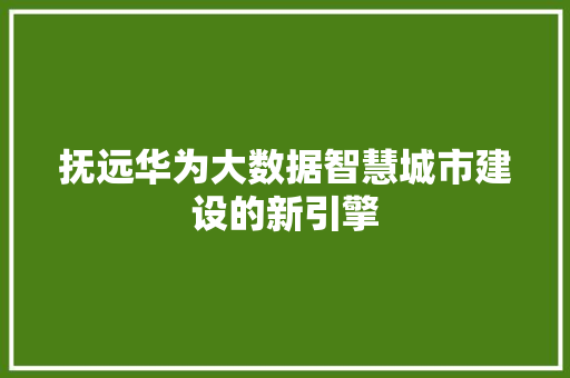 抚远华为大数据智慧城市建设的新引擎 抚远华为大数据智慧城市建设的新引擎