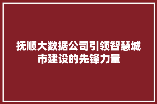 抚顺大数据公司引领智慧城市建设的先锋力量