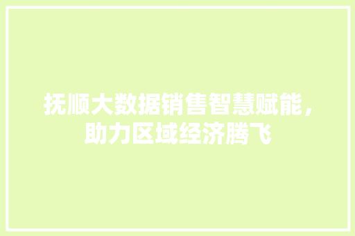 抚顺大数据销售智慧赋能，助力区域经济腾飞