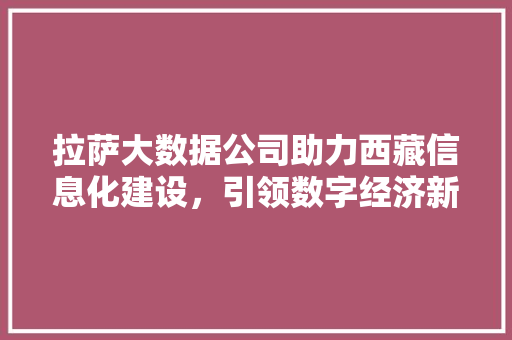 拉萨大数据公司助力西藏信息化建设，引领数字经济新潮流