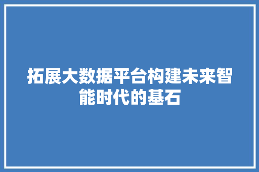 拓展大数据平台构建未来智能时代的基石 拓展大数据平台构建未来智能时代的基石
