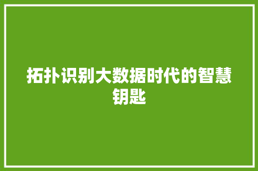 拓扑识别大数据时代的智慧钥匙
