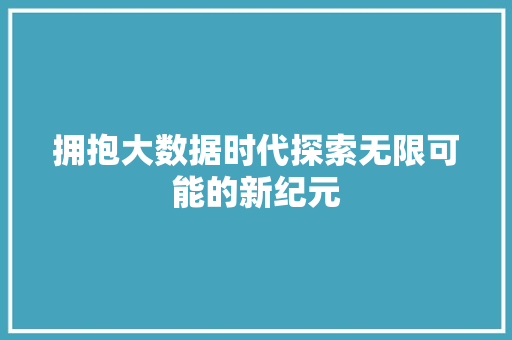 拥抱大数据时代探索无限可能的新纪元