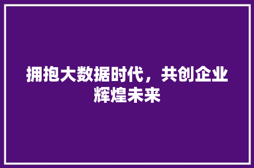 拥抱大数据时代，共创企业辉煌未来