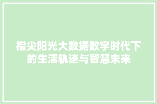 指尖阳光大数据数字时代下的生活轨迹与智慧未来 指尖阳光大数据数字时代下的生活轨迹与智慧未来