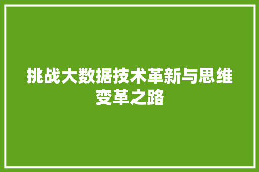 挑战大数据技术革新与思维变革之路 挑战大数据技术革新与思维变革之路