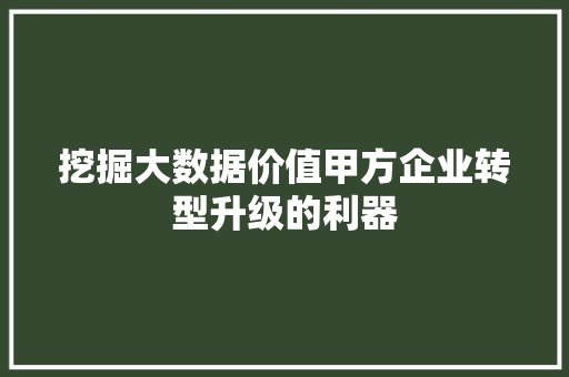 挖掘大数据价值甲方企业转型升级的利器 挖掘大数据价值甲方企业转型升级的利器