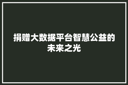 捐赠大数据平台智慧公益的未来之光