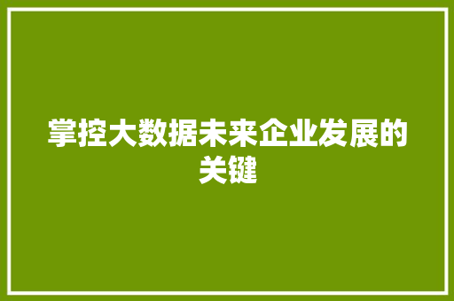 掌控大数据未来企业发展的关键