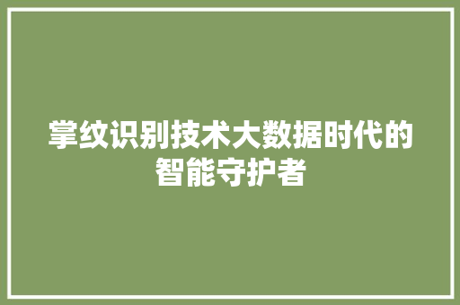 掌纹识别技术大数据时代的智能守护者