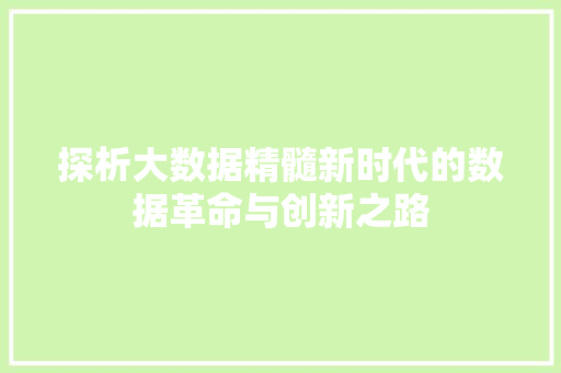 探析大数据精髓新时代的数据革命与创新之路 探析大数据精髓新时代的数据革命与创新之路