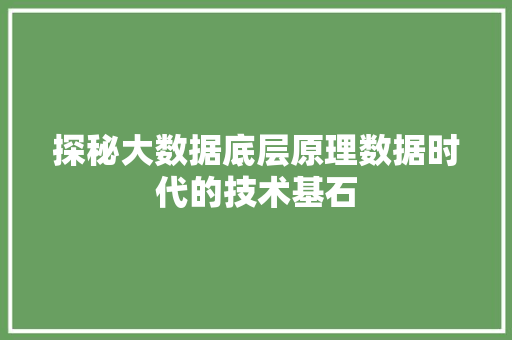 探秘大数据底层原理数据时代的技术基石 探秘大数据底层原理数据时代的技术基石