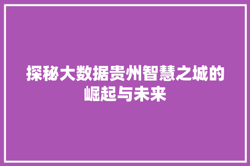 探秘大数据贵州智慧之城的崛起与未来 探秘大数据贵州智慧之城的崛起与未来