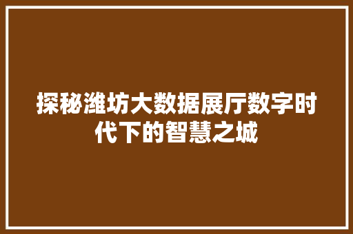探秘潍坊大数据展厅数字时代下的智慧之城