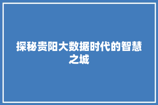 探秘贵阳大数据时代的智慧之城