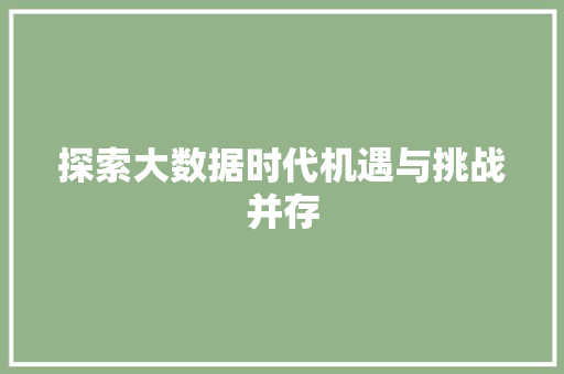 探索大数据时代机遇与挑战并存
