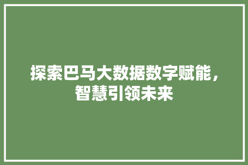 探索巴马大数据数字赋能，智慧引领未来