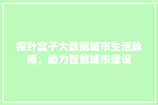 探针盒子大数据城市生活脉搏，助力智慧城市建设