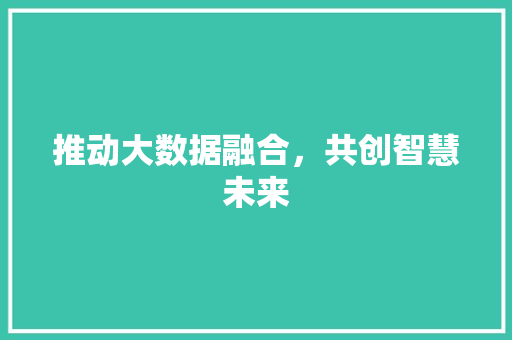 推动大数据融合，共创智慧未来