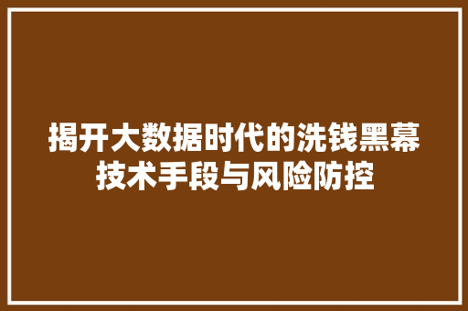 揭开大数据时代的洗钱黑幕技术手段与风险防控