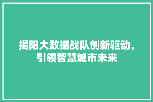 揭阳大数据战队创新驱动,引领智慧城市未来 揭阳大数据战队创新驱动,引领智慧城市未来