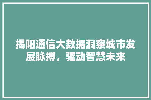揭阳通信大数据洞察城市发展脉搏,驱动智慧未来 揭阳通信大数据洞察城市发展脉搏,驱动智慧未来