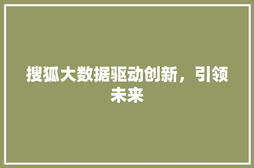 搜狐大数据驱动创新,引领未来 搜狐大数据驱动创新,引领未来
