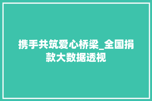 携手共筑爱心桥梁_全国捐款大数据透视 携手共筑爱心桥梁_全国捐款大数据透视