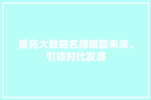 擦亮大数据名牌赋能未来，引领时代发展