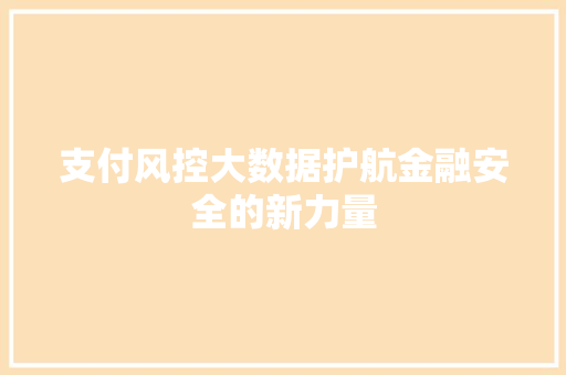 支付风控大数据护航金融安全的新力量