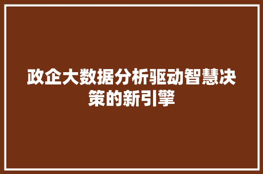 政企大数据分析驱动智慧决策的新引擎