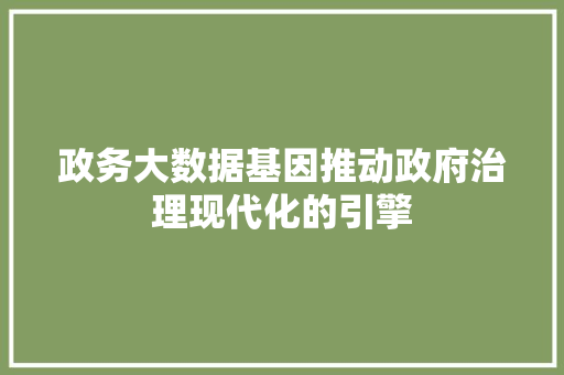 政务大数据基因推动政府治理现代化的引擎
