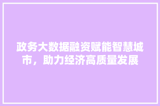政务大数据融资赋能智慧城市，助力经济高质量发展