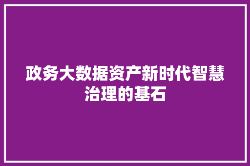 政务大数据资产新时代智慧治理的基石 电脑故障维修